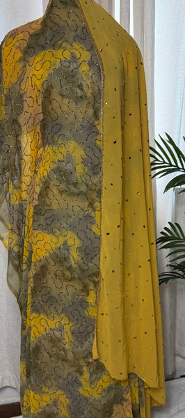 Shimmer chiffon Dirac Set