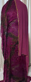 Shimmer chiffon Dirac Set