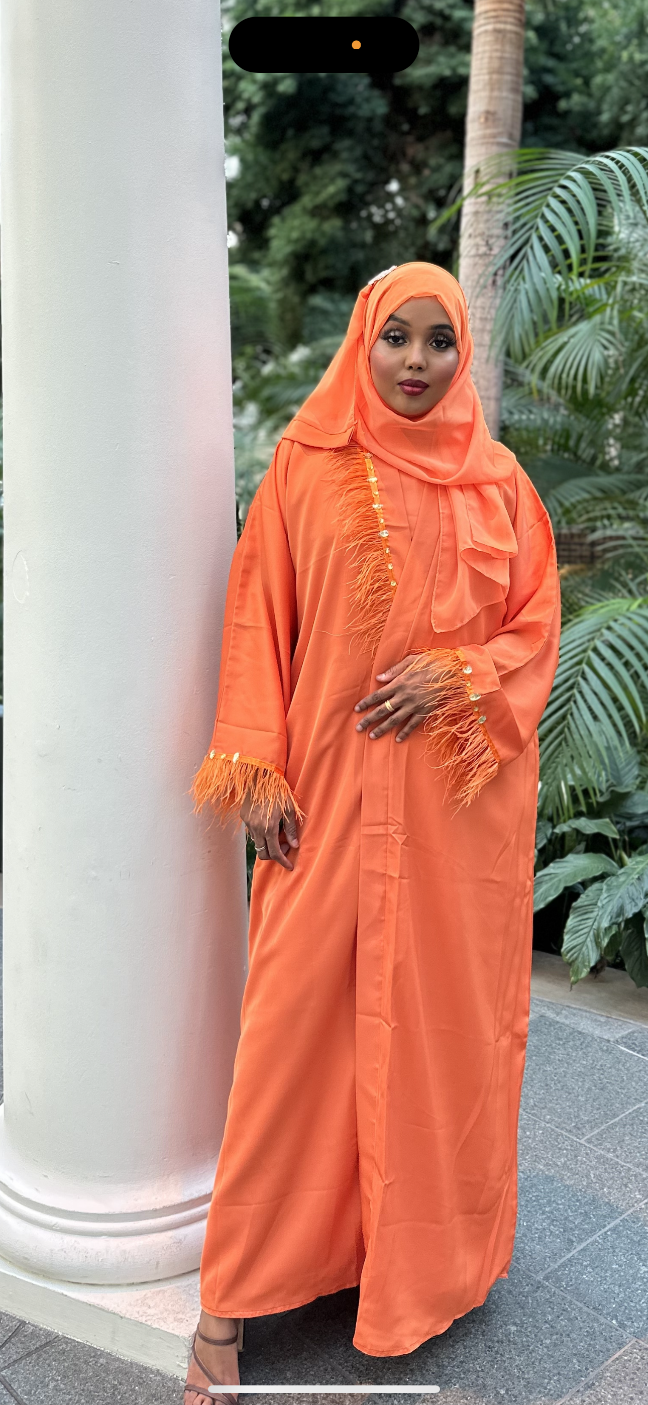 Aleena Abaya set